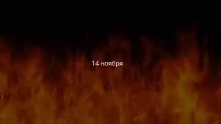 14 ноября, 