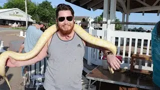 Albino Burmese Python Constrictor Strangled Me!!! [Southern Maryland Vlog]