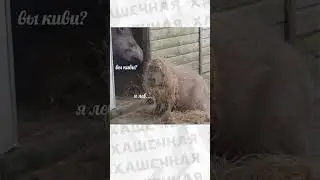 13 марта 2024 г.