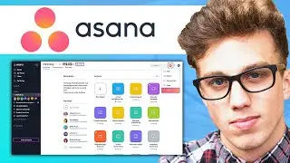 How to Use Asana for Project Management | Day to Day Project Management Tutorial (For Beginners)