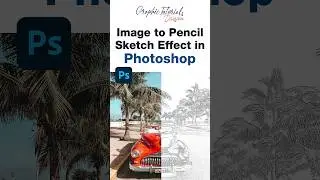 Transform Image into Pencil Sketch Effect in Photoshop l #shorts