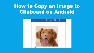 How to Copy an Image to Clipboard on Android