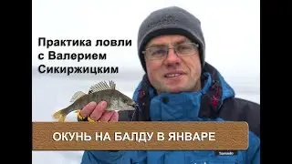 Окунь на балду в январе. Практика ловли с Валерием Сикиржицким.