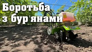 Боротьба з бурʼянами на винограднику . Трава, мульча чи чорний пар - що обрати?