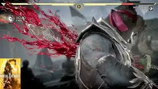 Mortal Kombat 11 Ultimate Kollector vs Liu Kang / Gameplay