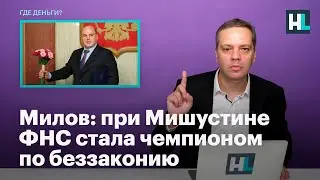 Милов: при Мишустине ФНС стала чемпионом по беззаконию