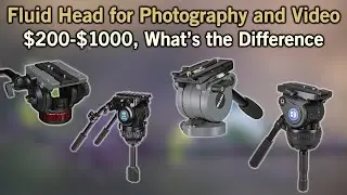 Fluid Heads, $200-$100, How Much Does Money Matter