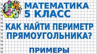 КАК НАЙТИ ПЕРИМЕТР ПРЯМОУГОЛЬНИКА? Примеры | МАТЕМАТИКА 5 класс