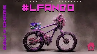 CALI X CHEMS - Lieferando #LFRNDO (Slowed + Reverb)