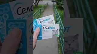 ЧЕМ ОБРАБАТЫВАТЬ УЛИЧНЫХ КОШЕК ОТ ПАРАЗИТОВ