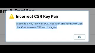 Expected a key pair with ECC Algorithm and key size of 256 bits || Incorrect CSR Key Pair [Fixed]