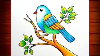 Bird Drawing for Beginners || Bird Scenery Drawing || Birds Drawing Colour || How to Draw Birds.