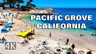 [4K] Pacific Grove - California USA - Scenic Walking Tour