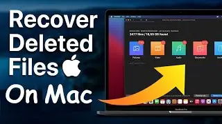 Top 5 Best Data Recovery Software for Mac & Windows