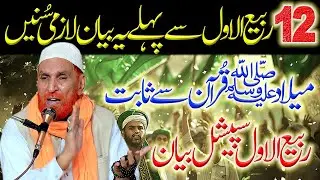 Najam Shah Rabi ul Awal Bayan | Eid Milad un Nabi | Najam Ali Shah Noshahi | New Bayan Ali 4k Video