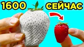 Еда, Которая Раньше Выглядела Иначе