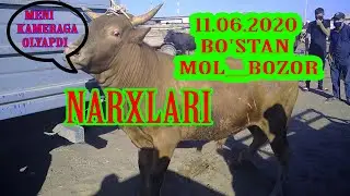 БЎСТАН МОЛ БОЗОР BO'STAN MOL BOZOR 11 06 2020