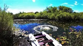 Глушим рыбу БОМБОЙ!!! Рыбалка на ДИКОЙ РЕКЕ с ночевкой!