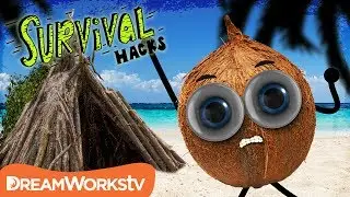 How to Survive on a Deserted Island | SURVIVAL HACKS