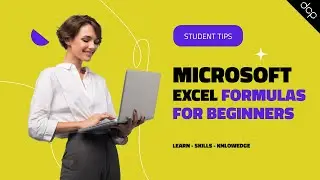 Excel Formulas for Beginners: Master the Basics in Under 20 Minutes!