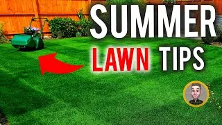 6 September Lawncare Calendar Tips // Scarify, Moss, Pests