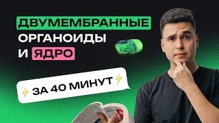 Двумембранные органоиды и ядро (короткометражка). Тест-Драйв, занятие №1