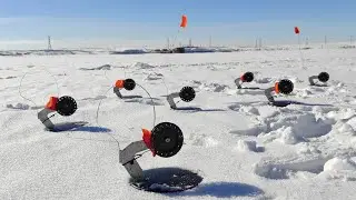 ТОЛСТЫЕ ШАРИКИ КРУТЯТ ЖЕРЛИЦЫ КАК ЩУКИ! Зарядили жерлицы на точке! Разбурили ПЯТАК!