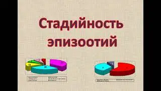 Петрова Ю.Н. Проявление эпизоотического процесса