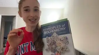 Preparing for professor-ing