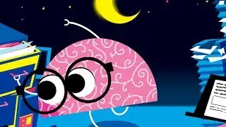 StoryBots | Learn About The Body and Emotions | Learning Songs for Kids | Netflix Jr