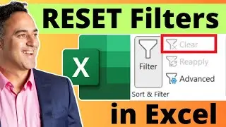 How to Use a Microsoft Excel Filter Like a Pro