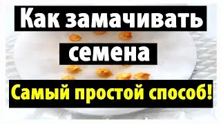 КАК ЗАМАЧИВАТЬ СЕМЕНА ПЕРЦА И БАКЛАЖАН НА РАССАДУ. САМЫЙ ПРОСТОЙ И ЭФФЕКТИВНЫЙ СПОСОБ!