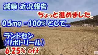 【減薬】 ランドセン（リボトリール） 6.25％ off 【ちょっと進めました..😓】　　／ パニック障害、うつ　　　／ 0.5mg=100%として