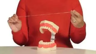 How to Floss Your Teeth