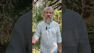 Шуты и скоморохи на Руси! 