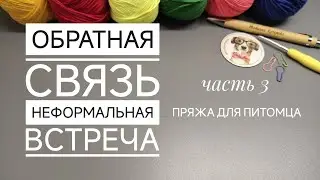 Из какой пряжи вязать для питомцев, обратная связь, неформальная встреча, часть 3