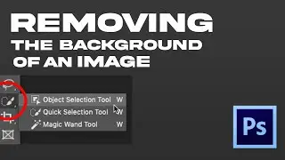 Removing the Background of an Image (Photoshop Tutorial)