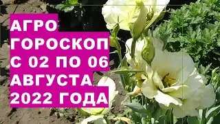 Агрогороскоп с 02 по 06 августа 2022 года