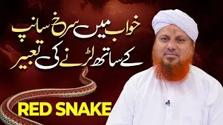 Khwab Mein Red Saanp Ke Sath Larne Ki Tabeer | Snake in Dream | Maulana Muhammad Asad Attari Madani