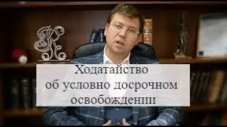 Ходатайство об условно досрочном освобождении: советы адвоката