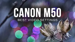 Canon M50 Best Video Settings |  Part 1