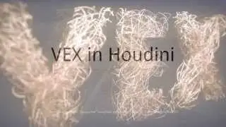 VEX in Houdini. 