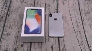 iPhone X "Real Review"