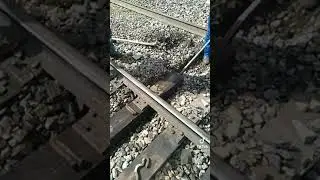 этому миру пиздец