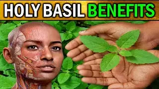 Revealed: 7 Amazing BENEFITS Why HOLY BASIL Should Be In Your Life!