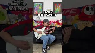 Hozier - too sweet guitar tutorial #hozier