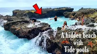 HIDDEN BEACH WITH POOL | Orange County, California