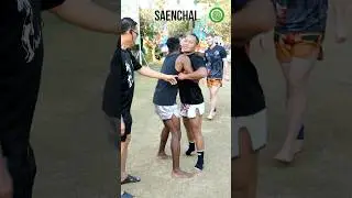 Saenchai Muay Thai Training - Countering the Body Lock in the Clinch