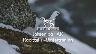 Jakten på 1.AK  -  Kapittel 1 - Fuglehundfeber Ep14 - Utallige fuglesituasjoner under vintertrening