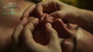 Массажный кабинет Сакура Подольск | Видеограф Кирилл | NLO PRODUCTION